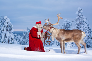 santa-and-reindeer-rovaniemi_1