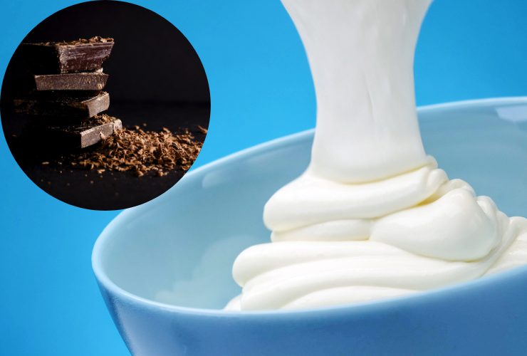 crema al mascarpone e cioccolato fondente 